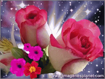 a picture of flowers with the website www.imagenesplanet.com written on the bottom