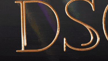 a woman stands in front of a microphone with the words dsg escape behind her