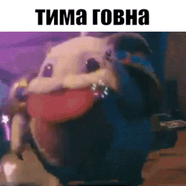 a close up of a cartoon character with its mouth open and the words tima gova on the bottom .