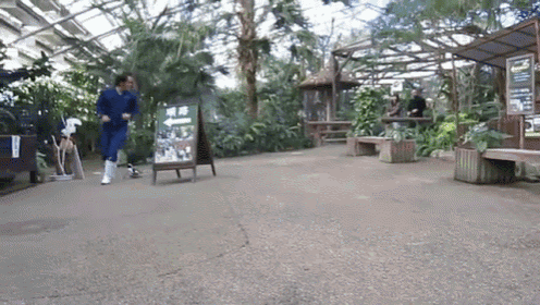 Just Wait Until I Get My Flippers On You! GIF - Japan Penguin Chase GIFs