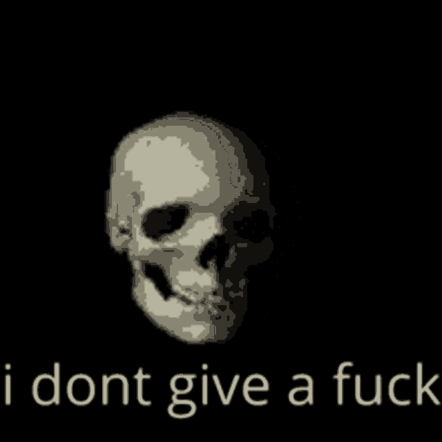 a pixelated image of a skull with the words i dont give a fuck below it .