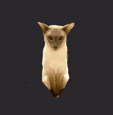 a light that looks like a cat 's head is shining in the dark