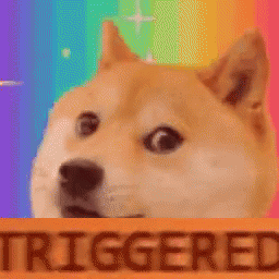 Triggered Doge GIF - Triggered Doge GIFs