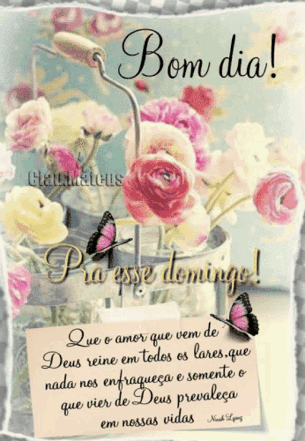 a greeting card with flowers and butterflies says bom dia