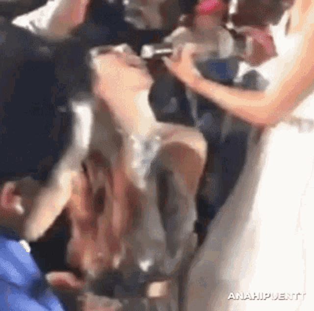 a bride and groom are grooming their dog at a wedding reception .