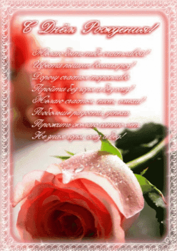 a pink rose with water drops on the petals is on a pink greeting card with russian writing