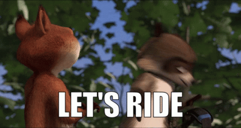 Rj Raccoon Over The Hedge GIF - Rj Raccoon Over The Hedge Lets Ride GIFs
