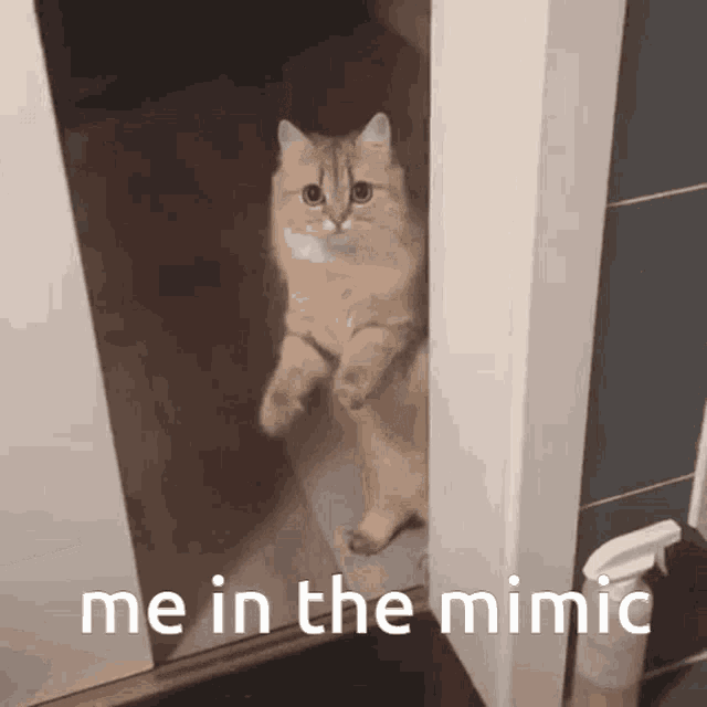 Mimic The Mimic GIF - Mimic The Mimic GIFs
