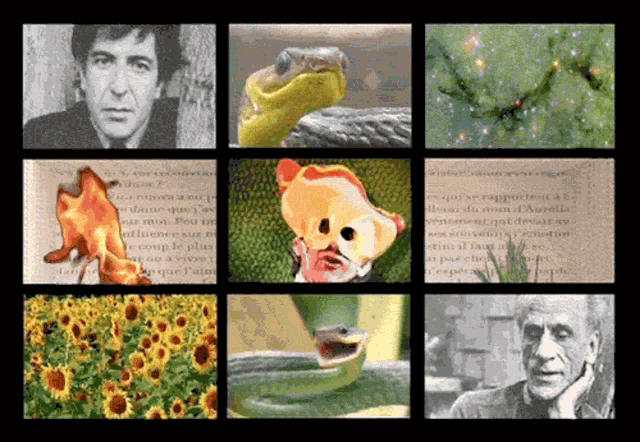 a collage of images includes a man a snake a flower and a man with a mask on his face