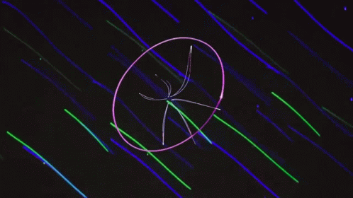 Lasers Get On GIF - Lasers Get On Royal Prismatic GIFs