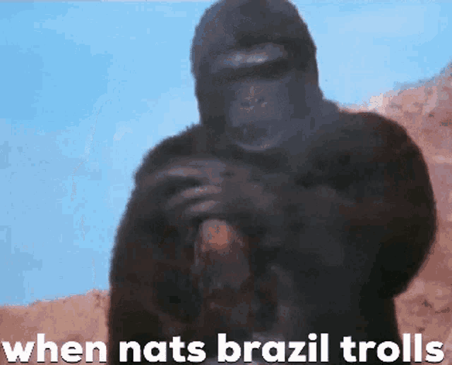 a picture of a gorilla with the words " when nats brazil trolls "
