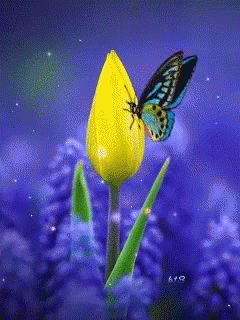 Papillon Flower GIF - Papillon Flower Butterfly GIFs