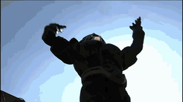 a silhouette of a person with their arms outstretched in the air