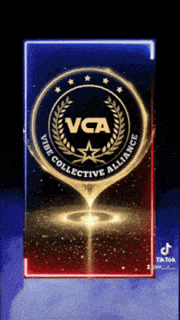a logo for the vibe collective alliance is displayed on a blue and red background