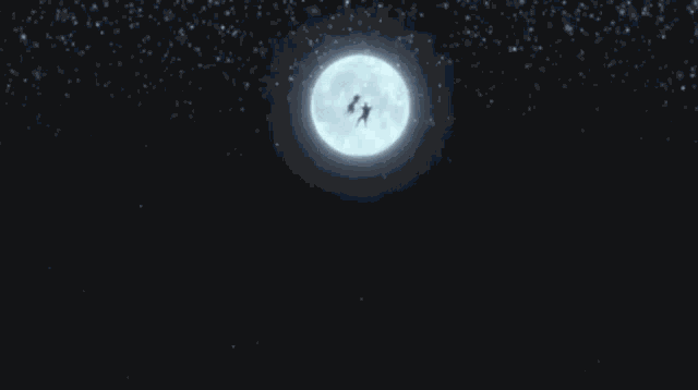 a couple of people are jumping into the water .