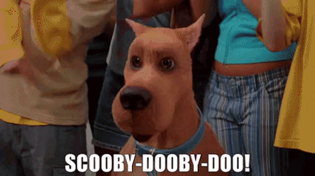 Scooby Doo Scooby Dooby Doo GIF