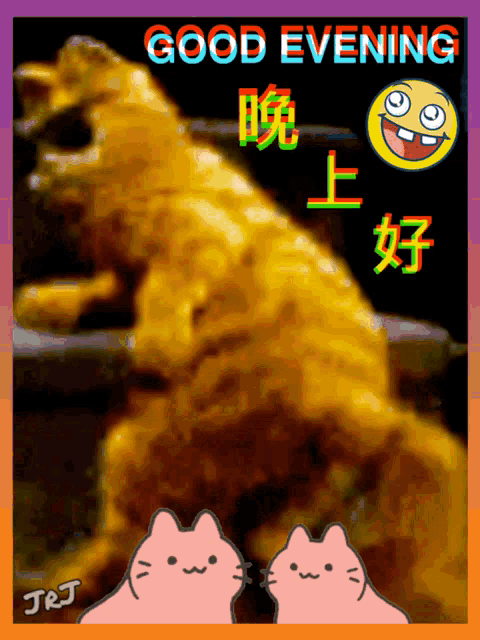 a picture of a cat with the words " good evening " on it