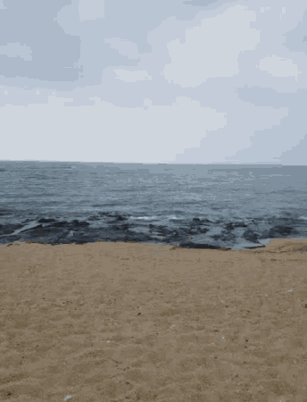 Beach Ocean GIF - Beach Ocean Sea GIFs