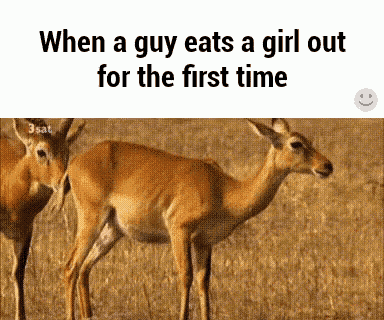 a couple of deer standing next to each other with the caption when a guy eats a girl out
