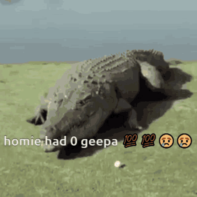 a picture of a crocodile with the words " homie had 0 geepa " on it