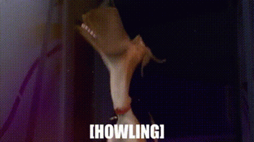 Marmaduke Howling GIF - Marmaduke Howling Dog GIFs