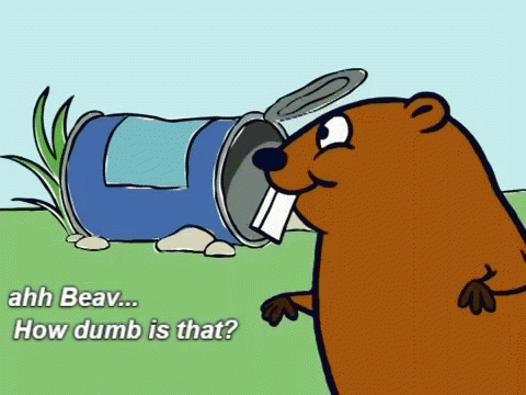 Disbeav Beaver GIF