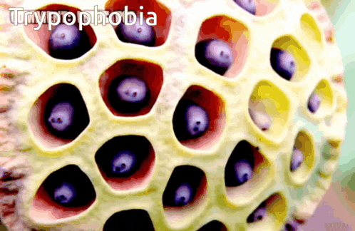 a close up of a sphere with the words trypophobia written on it