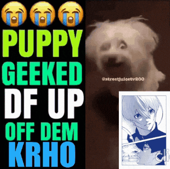 a puppy geeked df up off dem krho