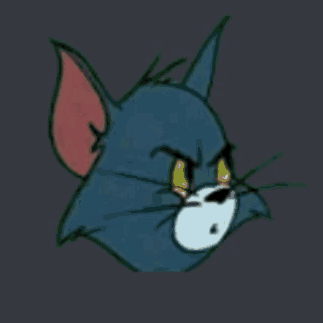 a close up of a cartoon cat 's face with a serious look on his face .