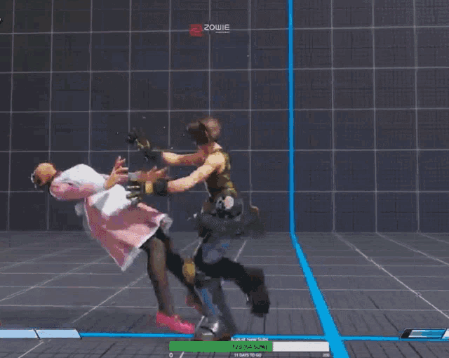 a screenshot of a video game with a character named zowie