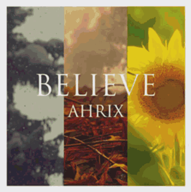 a poster that says believe ahrix with a sunflower on it