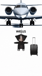 a picture of an airplane and a suitcase with the words tekmeyown written on it .