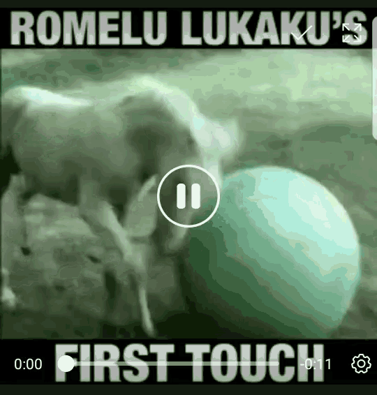 Lukaku GIF - Lukaku GIFs