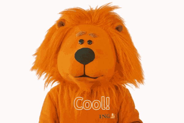 a lion mascot wearing an orange shirt that says cool on it