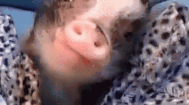 Piggy Snack Time. GIF - Pig Speckles The Pig Snack Time GIFs