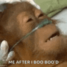 a monkey with an oxygen mask on its face is laying in a bed .