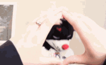 a person making a heart shape with their hands in front of a stuffed animal .