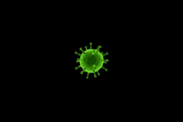 a black background with a green splash and the name taylorsteven205 on the bottom