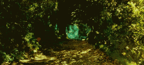 Forest Lord Of The Rings GIF