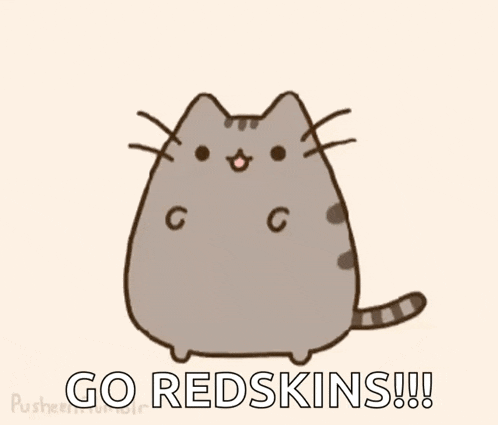 a cartoon of a cat with the words `` go redskins '' written on it .