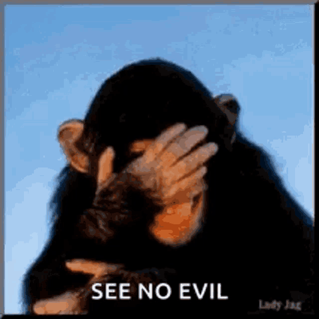 a chimpanzee is covering his face with his hand and the words see no evil are above him