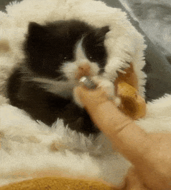 Created By Ashk GIF - Created By Ashk GIFs