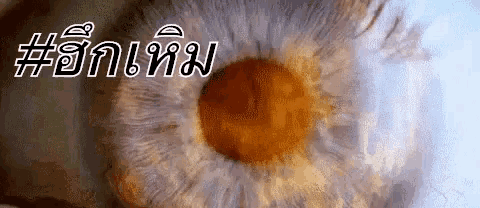 a close up of a person 's eye with a foreign language written above it