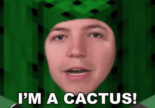 Im A Cactus Pretend GIF - Im A Cactus Cactus Pretend GIFs