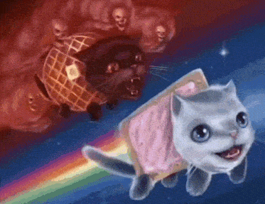 a black cat and a white cat are flying through the air