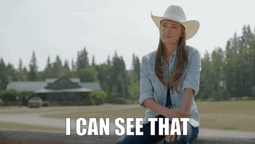 a woman in a cowboy hat sits on a wooden fence with the words i can see that behind her