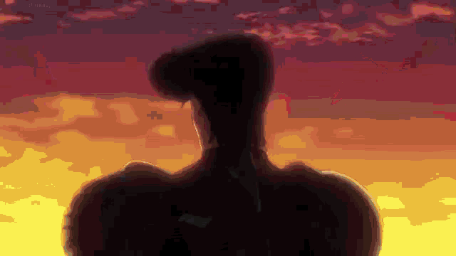 a silhouette of a man standing in front of a sunset sky .