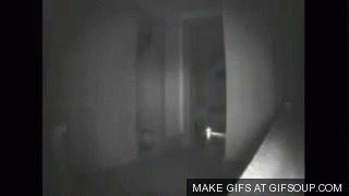 Adventures Paranormal GIF