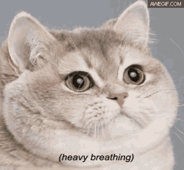 a close up of a cat 's face with the words ( heavy breathing ) next to it