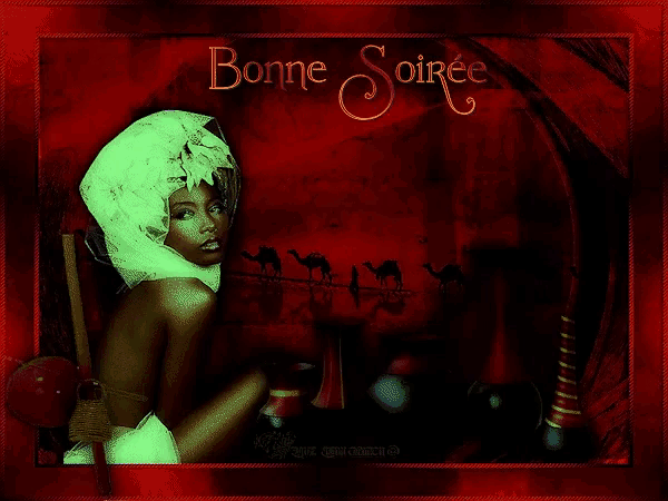 a painting of a woman with the words bonne soiree on the bottom